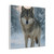 Lone Wolf Vigil - Matte Canvas, Stretched, 1.25"