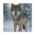 Lone Wolf Vigil - Matte Canvas, Stretched, 1.25"