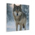 Lone Wolf Vigil - Matte Canvas, Stretched, 1.25"