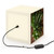 Garden Herb Symphony - Light Cube Lamp