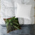 Garden Herb Symphony - Square Poly Canvas Pillow