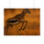 Graceful Gazelle Leap - Rolled Posters
