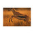 Graceful Gazelle Leap - Matte Canvas, Stretched, 1.25"