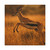 Graceful Gazelle Leap - Matte Canvas, Stretched, 1.25"