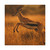 Graceful Gazelle Leap - Matte Canvas, Stretched, 1.25"
