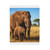 Gentle Elephant Embrace - Velveteen Plush Blanket