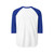 Tropical Leaf Harmony - Unisex Three-Quarter Sleeve Raglan Shirt