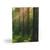 Whispering Pine Grove - Greeting cards (8, 16, and 24 pcs)
