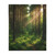 Whispering Pine Grove - Velveteen Microfiber Blanket (Two-sided print)