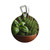 Savory Herb Garden - Pet Tag