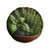 Savory Herb Garden - Tufted Floor Pillow, Round