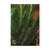 Savory Herb Garden - Softcover Notebook, A5