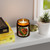 Savory Symphony - Scented Candles, Coconut Apricot Wax (4oz, 9oz)