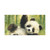 Whimsical Panda Play - Matte Canvas, Stretched, 1.25"
