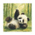 Whimsical Panda Play - Matte Canvas, Stretched, 1.25"