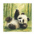 Whimsical Panda Play - Matte Canvas, Stretched, 1.25"