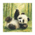 Whimsical Panda Play - Matte Canvas, Stretched, 1.25"
