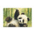 Whimsical Panda Play - Matte Canvas, Stretched, 1.25"