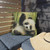 Whimsical Panda Play - Outdoor Pillows
