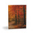 Whispers of Autumn - Greeting cards (8, 16, and 24 pcs)