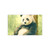 Serene Panda Sanctuary - Post-it® Note Pads
