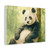 Serene Panda Sanctuary - Matte Canvas, Stretched, 1.25"