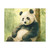 Serene Panda Sanctuary - Matte Canvas, Stretched, 1.25"