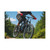 Trailblazer Spirit - Matte Canvas, Stretched, 1.25"