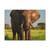 Majestic Elephant Spirit - Matte Canvas, Stretched, 1.25"
