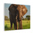 Majestic Elephant Spirit - Matte Canvas, Stretched, 1.25"