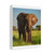 Majestic Elephant Spirit - Matte Canvas, Stretched, 1.25"
