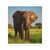 Majestic Elephant Spirit - Matte Canvas, Stretched, 1.25"