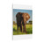 Majestic Elephant Spirit - Matte Canvas, Stretched, 1.25"
