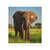 Majestic Elephant Spirit - Matte Canvas, Stretched, 1.25"