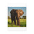 Majestic Elephant Spirit - Matte Canvas, Stretched, 1.25"