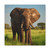 Majestic Elephant Spirit - Matte Canvas, Stretched, 1.25"