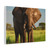 Majestic Elephant Spirit - Matte Canvas, Stretched, 1.25"
