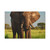 Majestic Elephant Spirit - Matte Canvas, Stretched, 1.25"