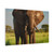 Majestic Elephant Spirit - Matte Canvas, Stretched, 1.25"