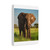 Majestic Elephant Spirit - Matte Canvas, Stretched, 1.25"