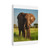 Majestic Elephant Spirit - Matte Canvas, Stretched, 1.25"