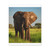 Majestic Elephant Spirit - Matte Canvas, Stretched, 1.25"