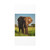 Majestic Elephant Spirit - Matte Canvas, Stretched, 1.25"