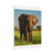 Majestic Elephant Spirit - Matte Canvas, Stretched, 1.25"