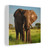Majestic Elephant Spirit - Matte Canvas, Stretched, 1.25"