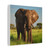 Majestic Elephant Spirit - Matte Canvas, Stretched, 1.25"