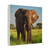 Majestic Elephant Spirit - Matte Canvas, Stretched, 1.25"
