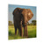 Majestic Elephant Spirit - Matte Canvas, Stretched, 1.25"