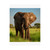 Majestic Elephant Spirit - Matte Vertical Posters