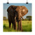 Majestic Elephant Spirit - Matte Vertical Posters